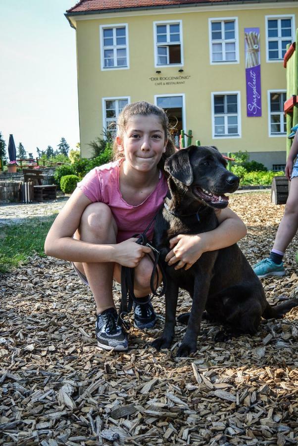 Familien- und Freizeithotel Gutshaus Petkus Exterior foto